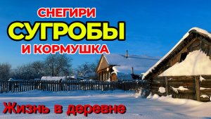 Снежный буран. Всю деревню засыпало снегом.