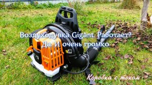 Воздуходувка бензиновая Gigant. Работает? Да. И очень громко 🛠️