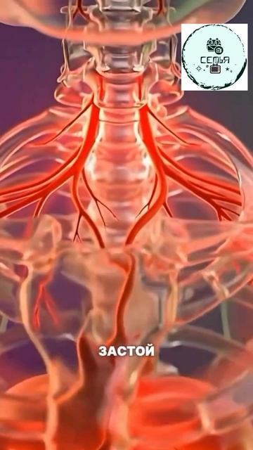 ПОЛЬЗА БАНИ ПОСЕЩЕНИЯ РАЗ В НЕДЕЛЮ смотреть онлайн