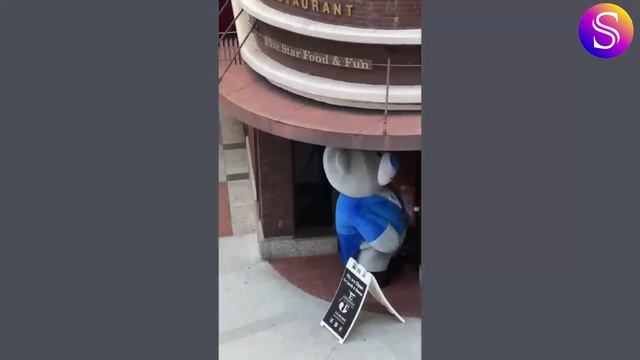 Лучшие фейлы. Самые вирусные видео 2025 года. Видео из интернета. смотреть онлайн