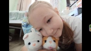 красивые котики 💕😻🩷🥰.mp4