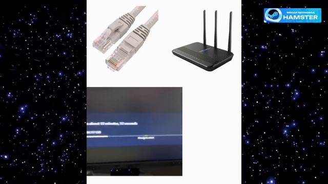 Самые смешные видео смотреть онлайн