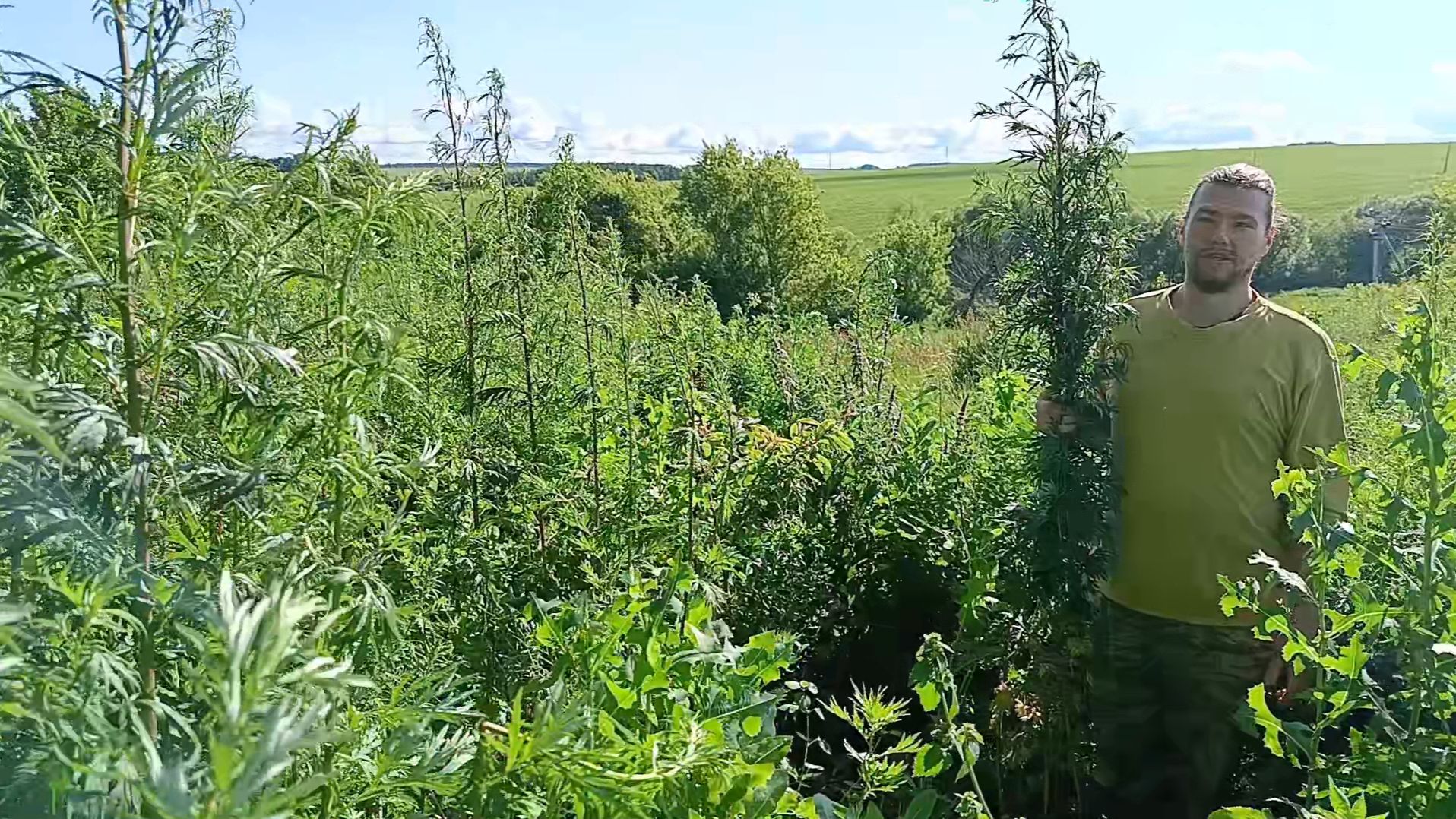 Когда косить траву или газон? Мой сад и огород в начале июля. смотреть онлайн