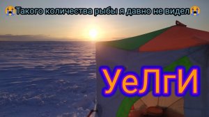 😂УЕЛГИ😂   Так тоже бывает!!!  + Обзор пола в палатку