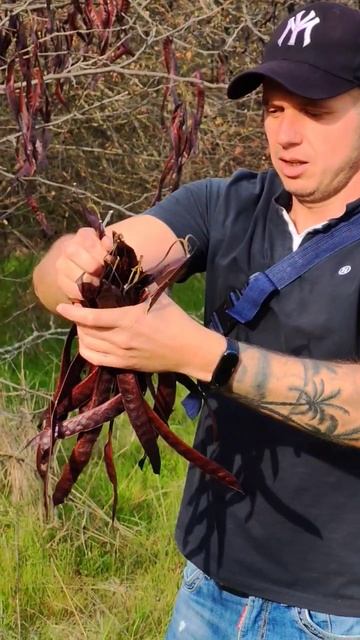 Очень полезно! смотреть онлайн