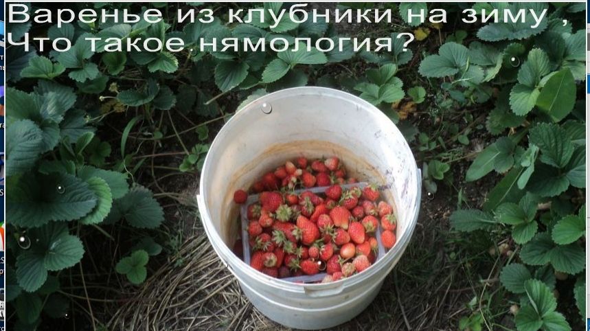 Утром на грядке - клубника ,Варенье из клубники на зиму , Что такое нямология? смотреть онлайн