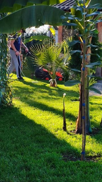 20 ноября. Последняя стрижка газона перед зимой смотреть онлайн