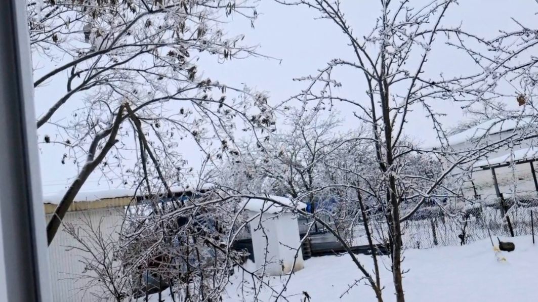 1017 Последствия Ледяного дождя на Кубани. Можно конечно сделать.Из дома не выйти.Сидим в заперти смотреть онлайн