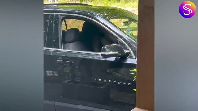 TikTok - самые вирусные и смешные видео года. Видео из интернета. смотреть онлайн