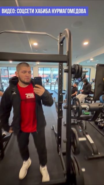 ЖЕСТКАЯ утренняя тренировка под руководством Хабиба смотреть онлайн