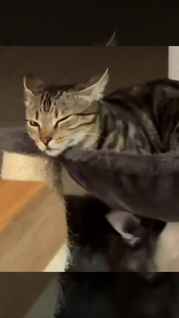 Железные нервы 💪 смотреть онлайн