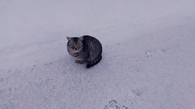 1000005004.mp4 смотреть онлайн