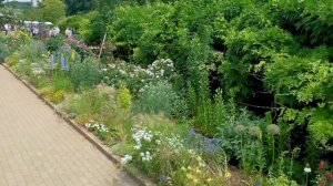 1000011178.mp4. " поймёт не только кто...