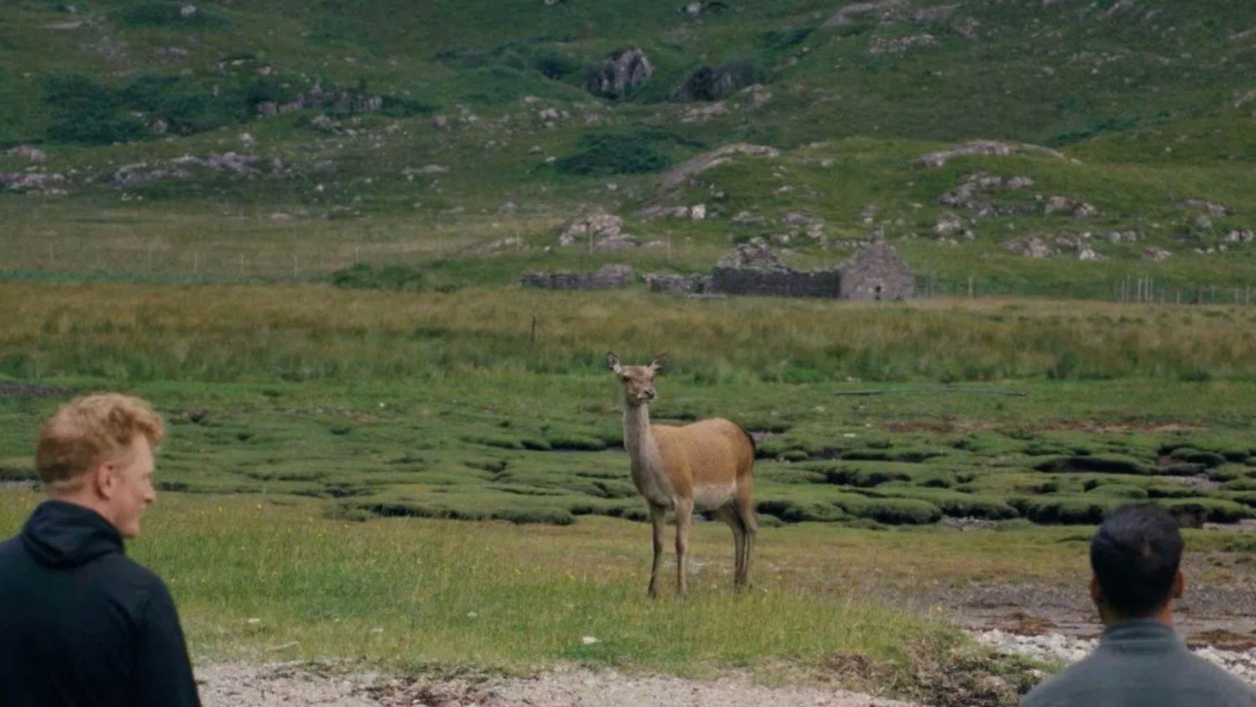 Север (2025) / The North смотреть онлайн