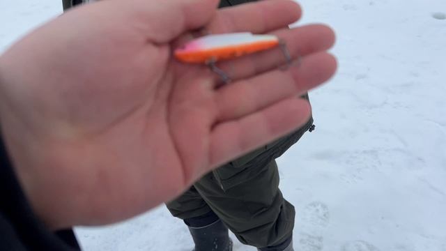 25-01-2026 смотреть онлайн