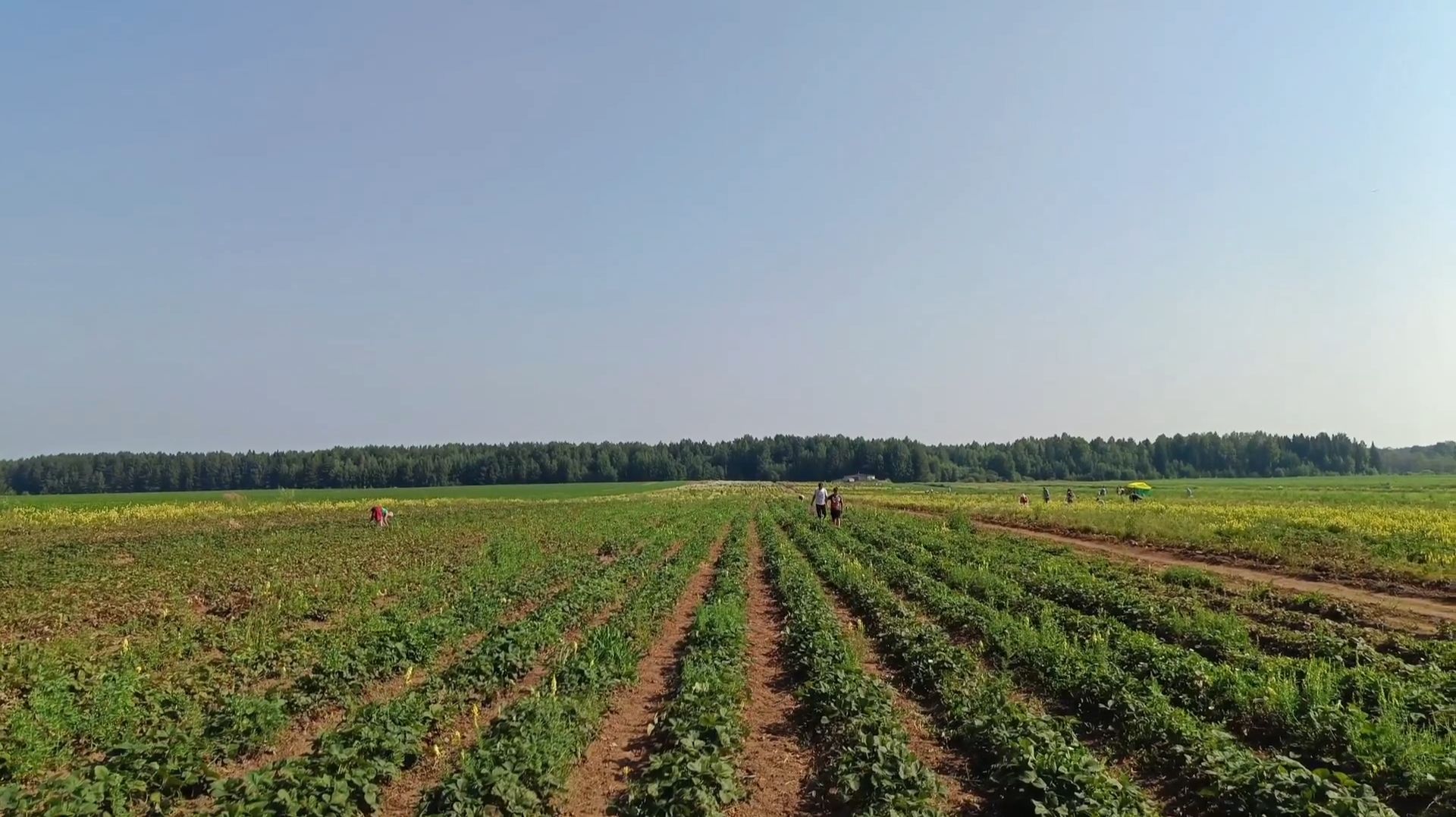 Спето с душой. Вячеслав Мясников.,,Родина моя малая "_ смотреть онлайн
