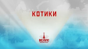 «Котики». Киножурнал «Вслух!». Победный сезон. Выпуск 5. 12+
