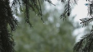 Фортепьяно, музыка для души и тела