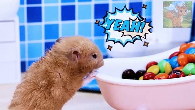 Маленький хомячок хочет попкорна! В итоге он устраивает полный бардак в доме! смотреть онлайн