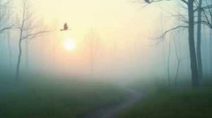 Музыка природы.