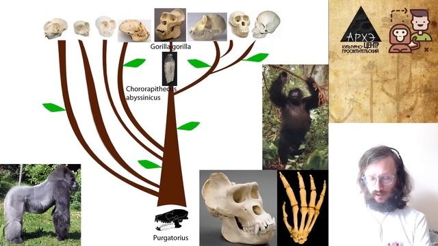 Станислав Дробышевский: Мир глазами руконожки (№5) смотреть онлайн