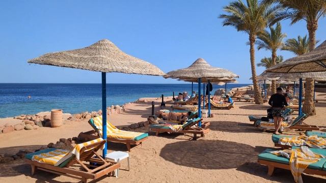 Египет. Шарм-эль-Шейх. Отель Renaissance Sharm El Sheikh Golden View Beach Resort. Красное море смотреть онлайн