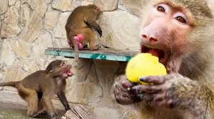 Зимняя черешня))) Степке нужна бутылка, но Люся свое не отдаст, как бы Степа не орал и не забирал!