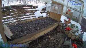 🔴 24 LIVE Главная Кормушка