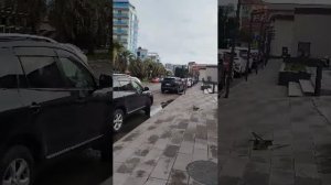 Чёрное море. 25 января 2026