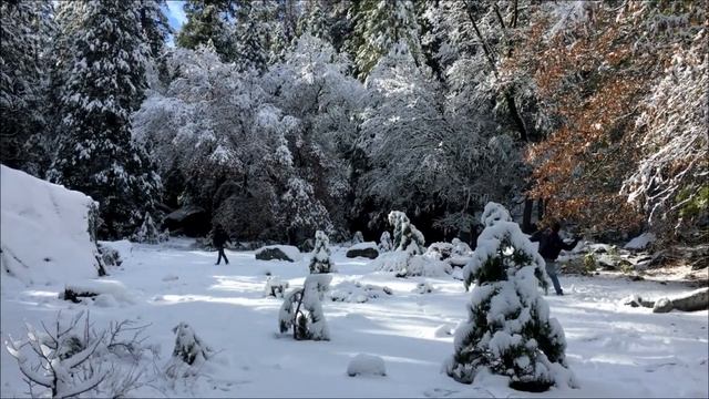 Стрижка в феврале принесёт богатство. смотреть онлайн