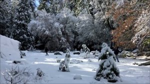 Стрижка в феврале принесёт богатство.