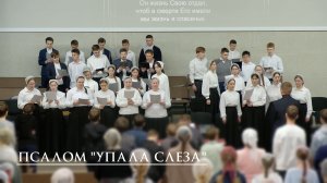 Псалом "Упала слеза"