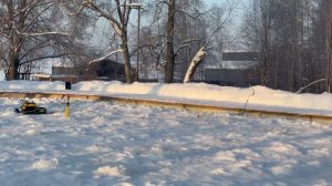 Обстановка на лесном пруду 25.01