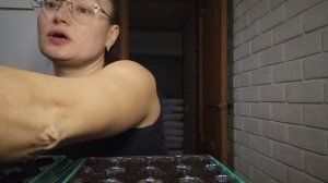 Посадка на рассаду мелких семян. Огородный сезон 2026