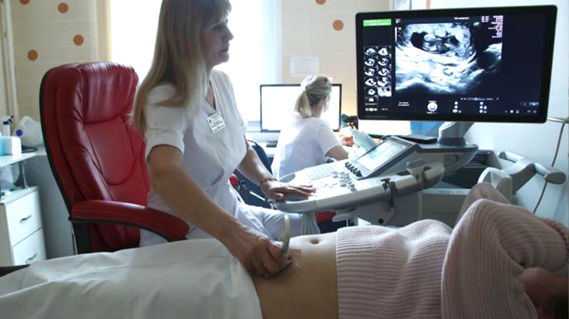 Беременные россиянки смогут бесплатно выявить генетические риски у будущего ребенка смотреть онлайн