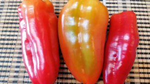 Этот перец покорил меня с первого урожая.Всё, что нужно знать о перце "Атлант".