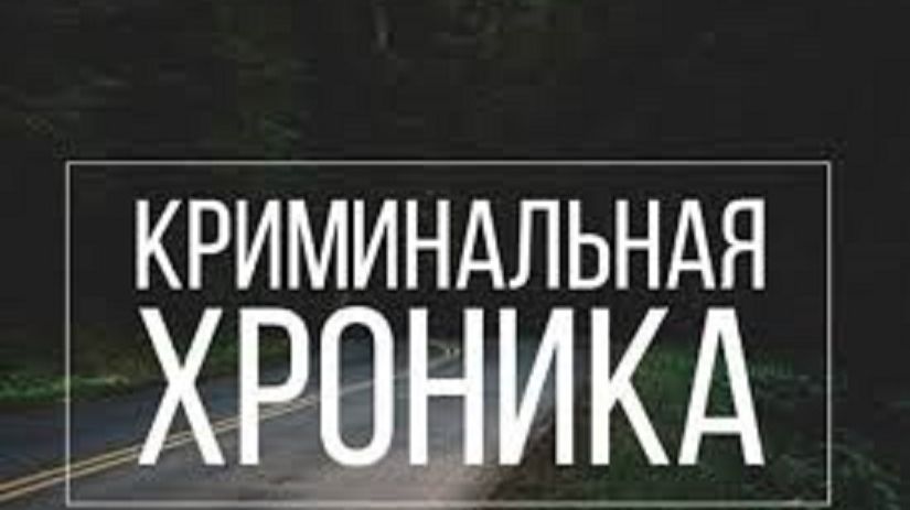 Новая криминальная хроника смотреть онлайн