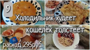 Холодильник худеет, кошелёк толстеет//день 9