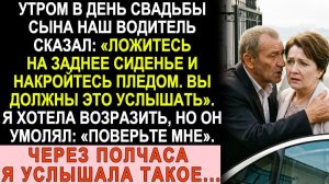 Истории из жизни|В день свадьбы сына водитель шепнул«Ложитесь под плед и слушайте»|Жизненные истории