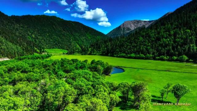 #Коран#аль-Имран#СамыеКрасивыеМеста#Отдых##Ислам#Коран#аль-Имран'#Миншавий #4кВидео#30часть# смотреть онлайн