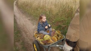 битва с урожаем подсолнухи