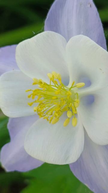 #Мысли вслух смотреть онлайн