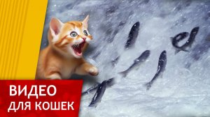 Видео для кошек - Миграция рыб (Поймай рыбку)