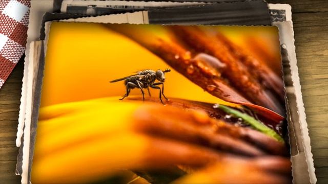 Lex Gaisler - Rise Tomorrow смотреть онлайн