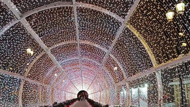 Светящийся туннель, Тверской бульвар, Москва, январь 2026 (Tverskoy Boulevard, Moscow, January 2026) смотреть онлайн