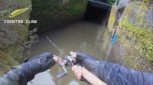 В КОНЦЕ ТУННЕЛЯ ЕСТЬ УКРОМНЫЙ УГОЛОК