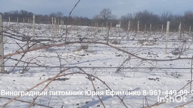 заготовка лозы смотреть онлайн