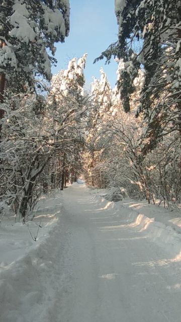 26 Января 2026 смотреть онлайн
