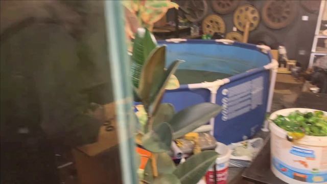 Пруд в гараже.Отчет за неделю.Прополка растений смотреть онлайн