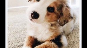 🪷🪷🎧🎧🦩🦩 спасибо большое вам спасибо большое за 60